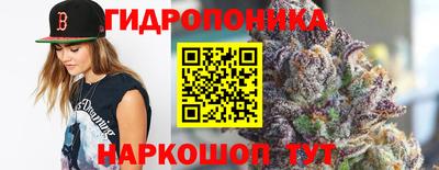 мдпв Дубна