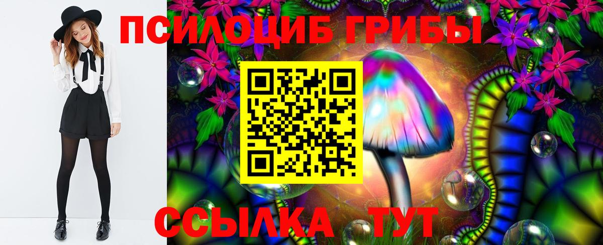 Галлюциногенные грибы Psilocybe Назрань